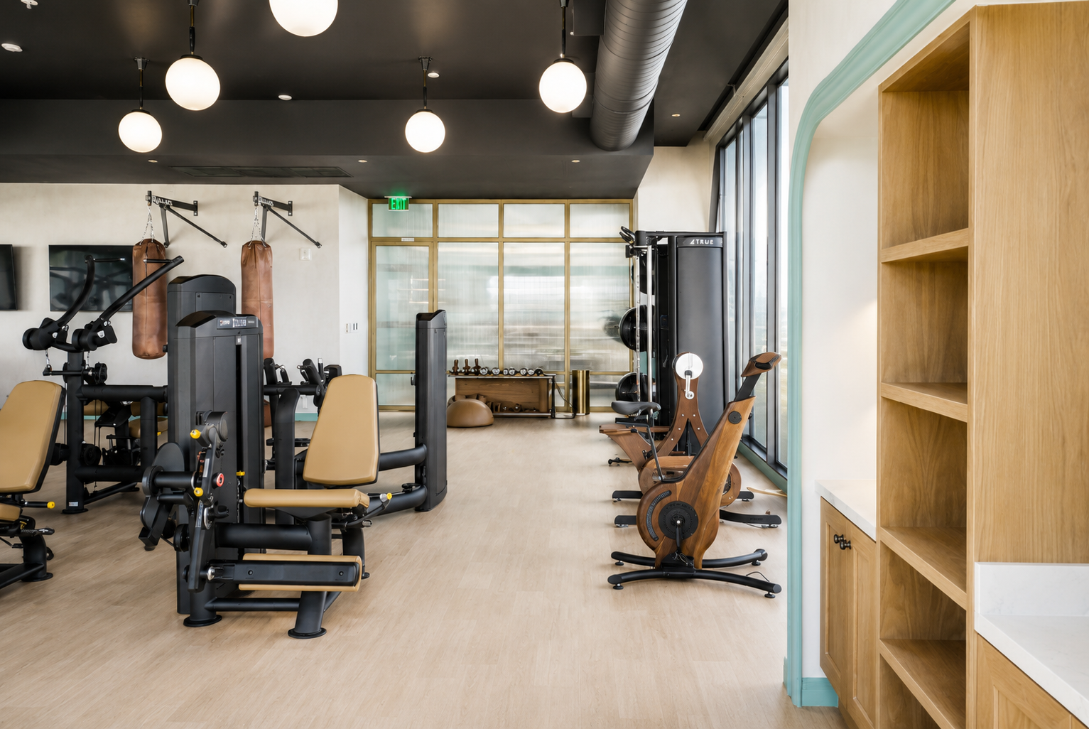 Gym strength area — weight machines, rowing bikes, punching bag