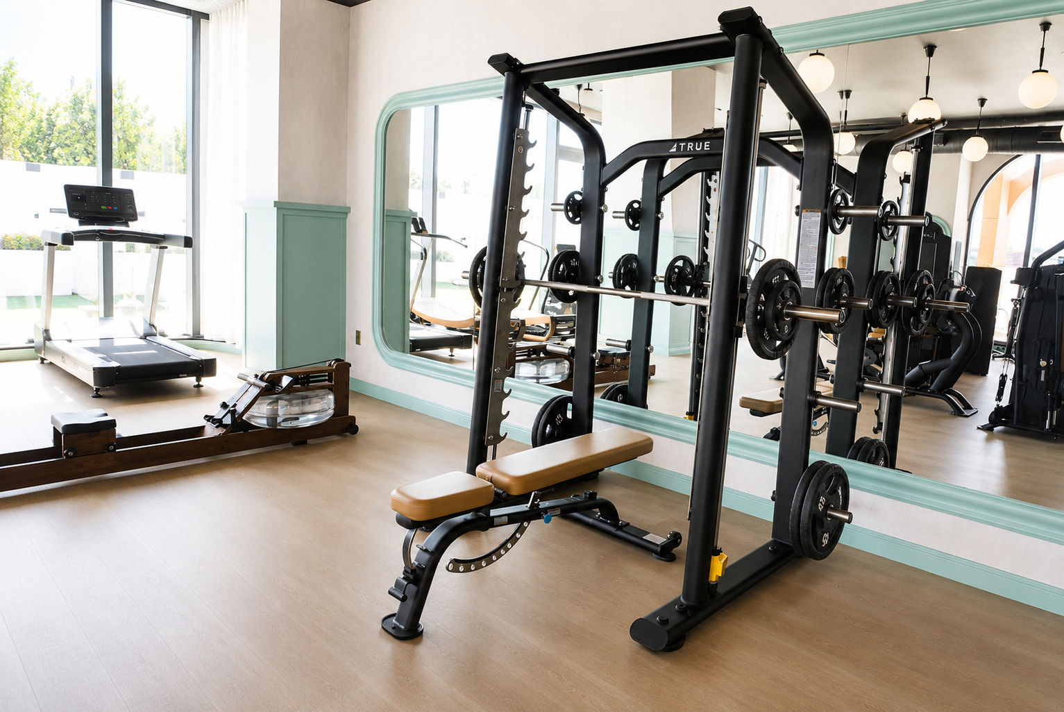 Gym free weights — squat rack, bench press, rower, mirrored wall